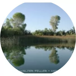 Topock Marsh - Marsh in Arizona