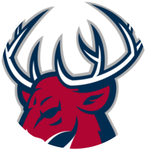 Torpedo Nizhny Novgorod