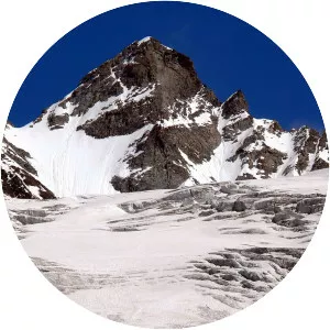 Torre del Gran San Pietro