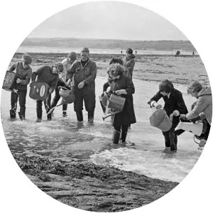 Torrey Canyon oil spill