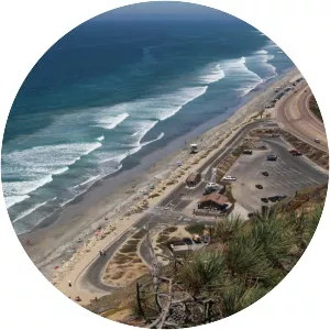 Torrey Pines State Beach