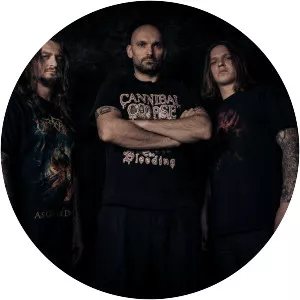 Tortharry - Musical group