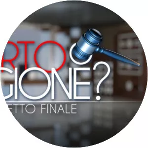 Torto o ragione? Il verdetto finale - TV program