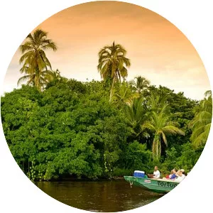 Tortuguero photograph