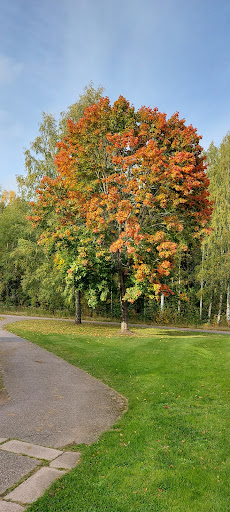 Torvmossen - Bus stop in Motala, Sweden