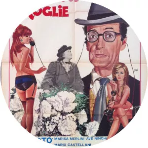 Toto Looks for a Wife