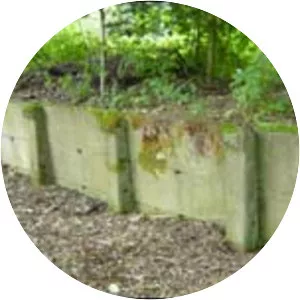 Tottington railway station - 