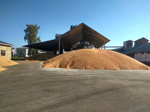 Tov Hnizdychiv - Corporate office in Hnizdychiv, Ukraine