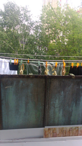 Tovary Dlya Dachi - Garden center in Moscow, Russia