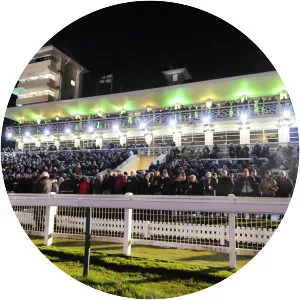 Towcester Greyhound Stadium - 