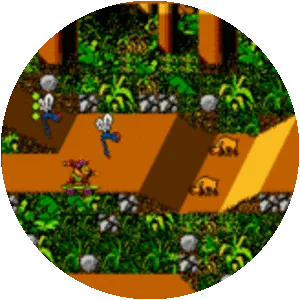 Town & Country II: Thrilla's Surfari