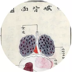 Tōyō Yamawaki