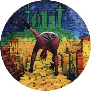 Tracey Rose - South African artist