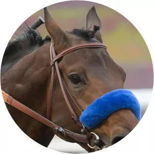 Trackside Live! Bob Hope