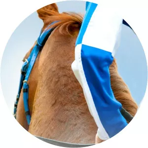 Trackside Live! Charles WhittinghamSince 2019 - TV program