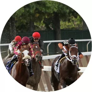 Trackside Live! Desert Stormer - TV program