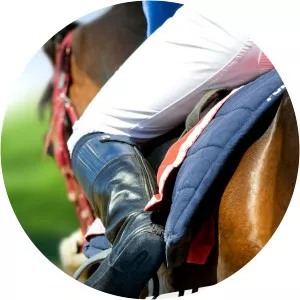 Trackside Live! El Primero Del Ano Derby - TV program