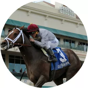 Trackside Live! Featuring Gulfstream Park - TV program