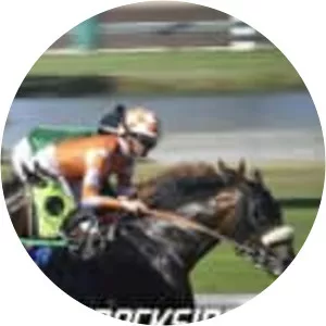 Trackside Live! Los Alamitos Super Derby - TV program