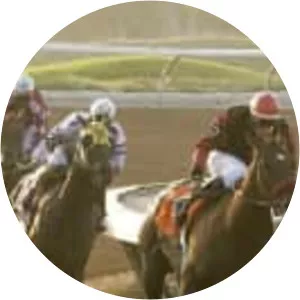 Trackside Live! Los Alamitos Winter Derby - TV program