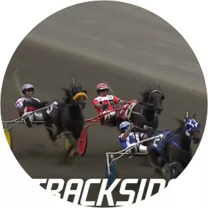 Trackside Live! TVG Open Pace Final - TV program