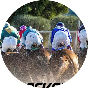 Trackside Live! Wilshire - TV program