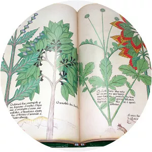 Tractatus de Herbis - Book