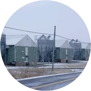 Trafficked in America