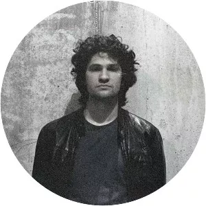 Traian Chereches - Musical artist