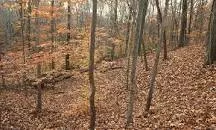 Trail of Tears State Forest - 