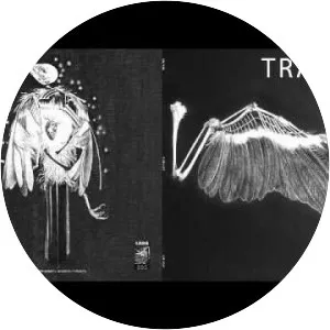 Traitre - Musical group