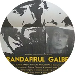 Trandafirul galben