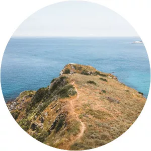 Trans Catalina Trail - 