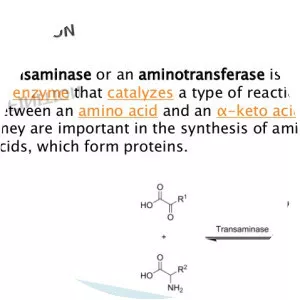 Transaminase - 
