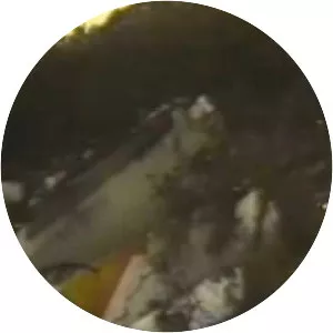 Transbrasil Flight 303