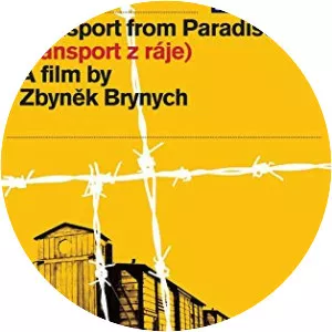 Transport from Paradise