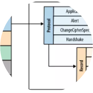 Transport Layer Security - Protocol