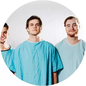 Trash Hawks - Musical artist