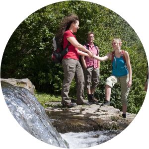 traumpfad vulkanpfad traumpfad waldseepfad rieden - 