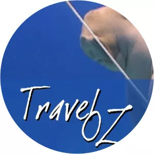 Travel Oz