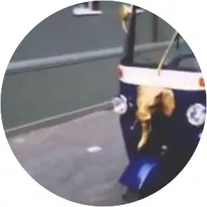 Travels on My Elephant - Book by Mark Shand