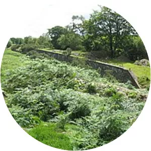 Trawsfynydd Camp railway station - 
