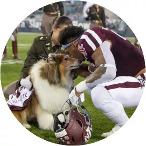 Trayveon Williams - American football running back