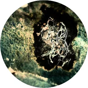 Treasure Quest: Snake Island