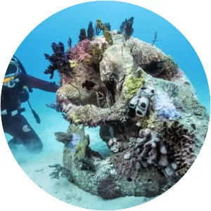 Treasures from the Wreck of the Unbelievable