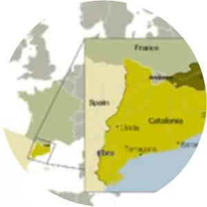 Treaty of the Pyrenees - 