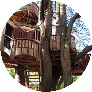 Tree house photograph