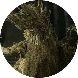 Treebeard - Lord Of The Rings character