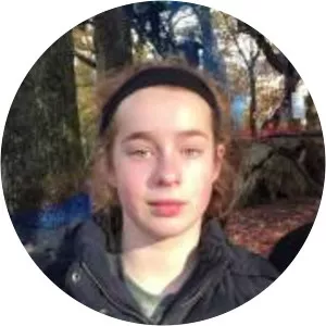 Treetop Lake District - Treetop Trek & Treetop Nets - 