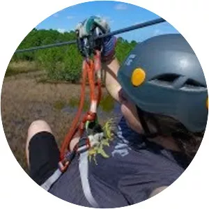 Treetop Trek Aerial Adventures